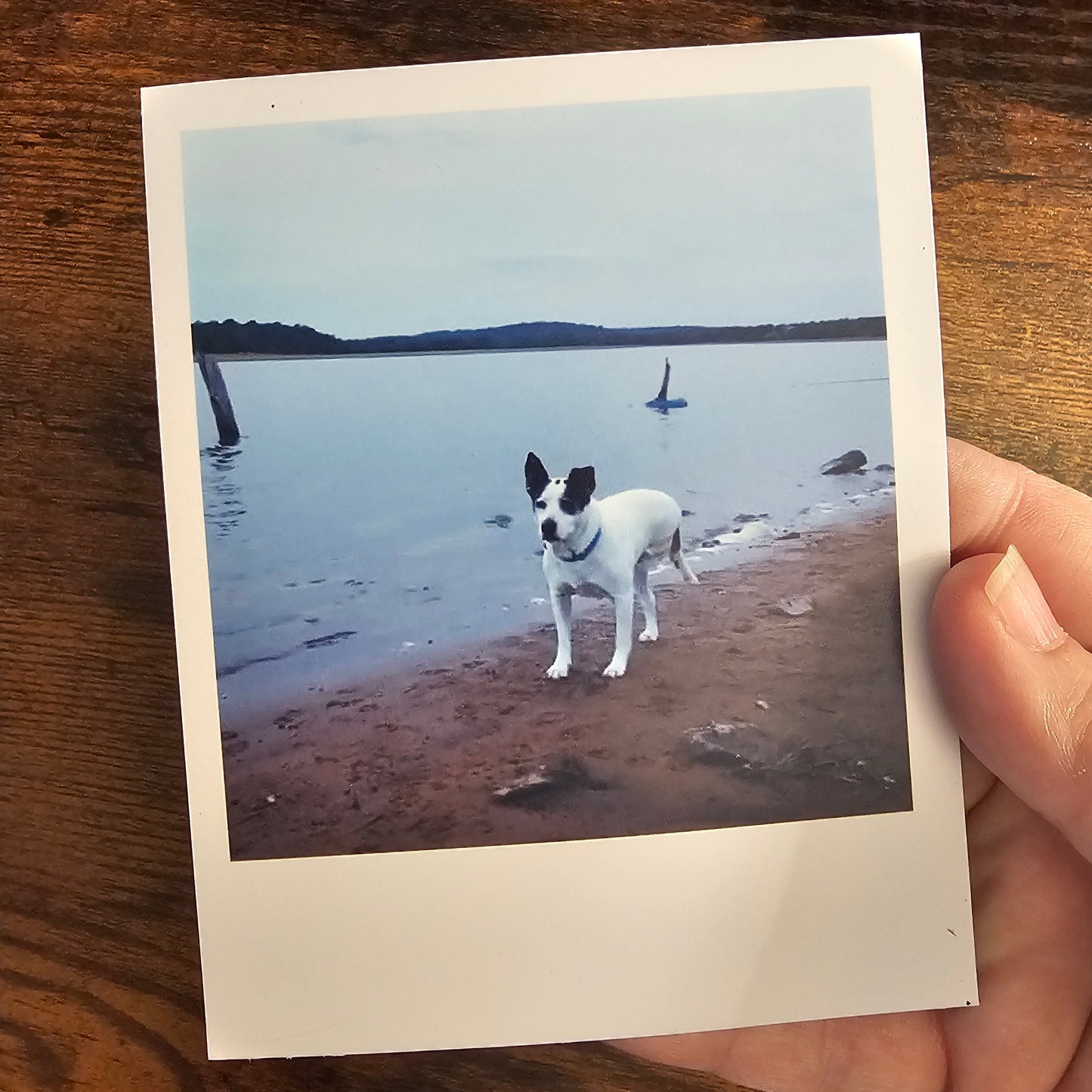 Photo Magnets Polaroid Large (4x5in)