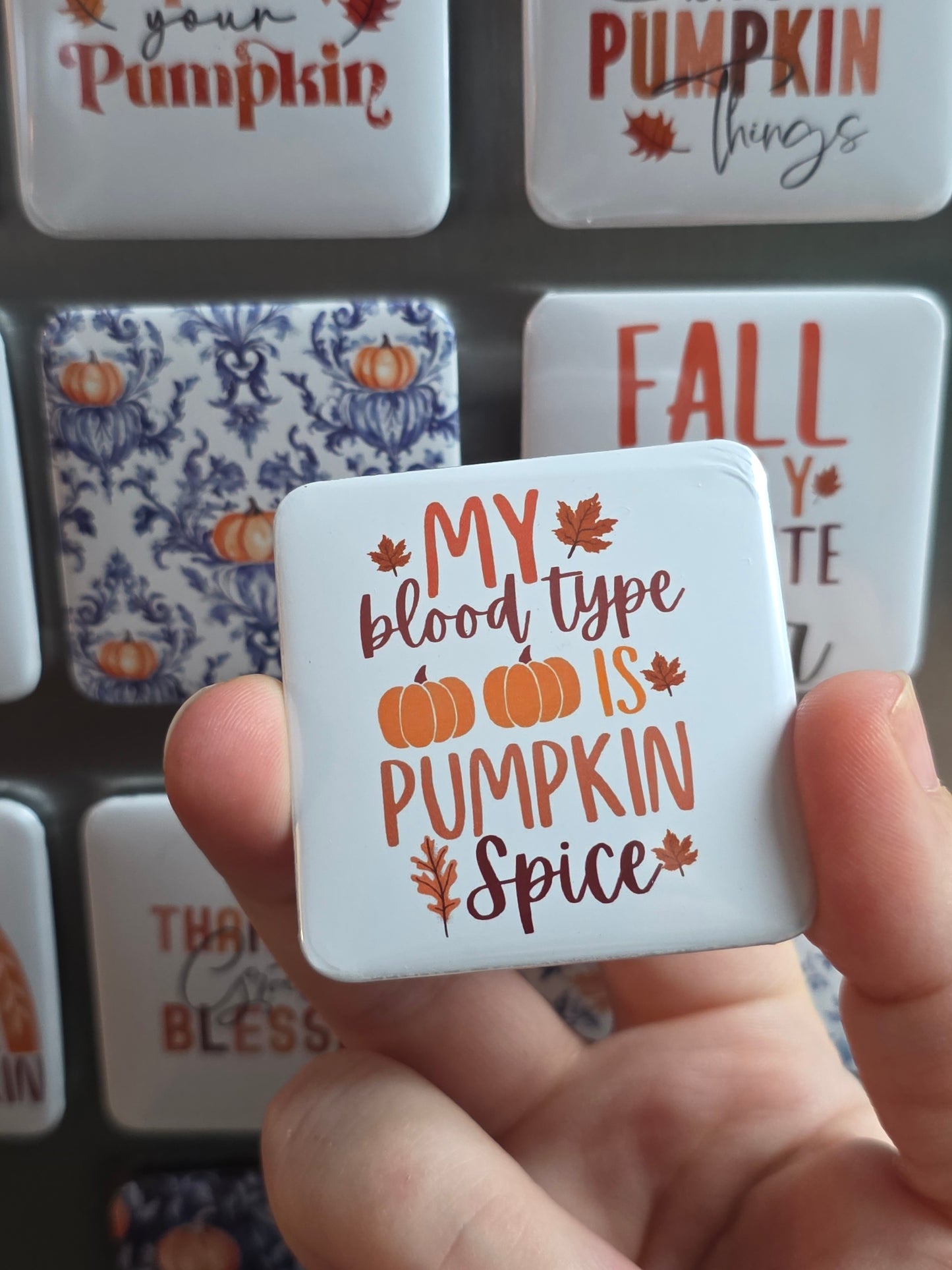 Fall Magnet Set (14)